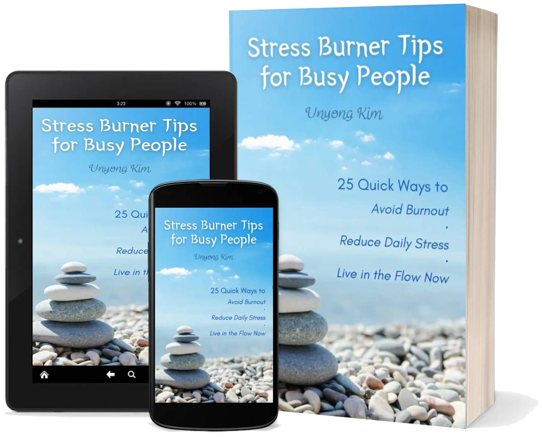Stress Burner book cover